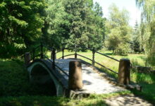 Photo of Деревянный мост в парке