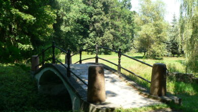 Photo of Деревянный мост в парке