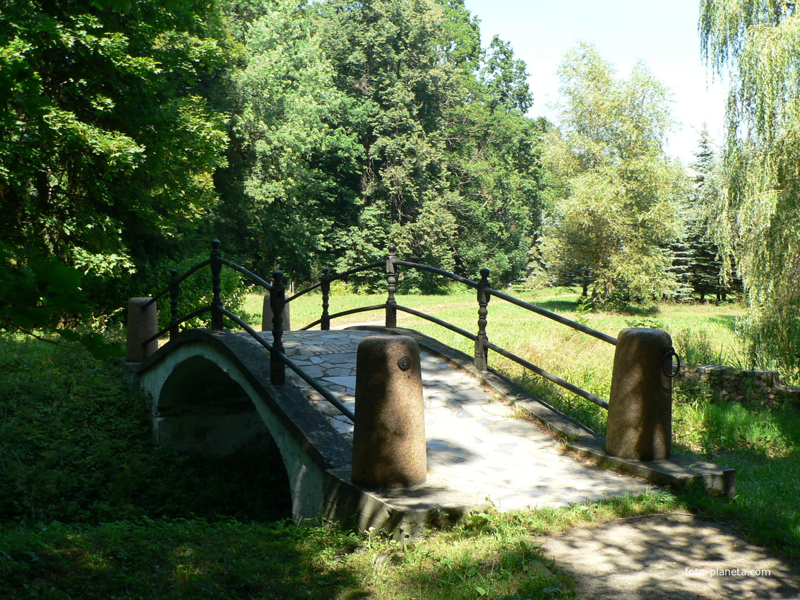 Фото 21 — Деревянный мост в парке